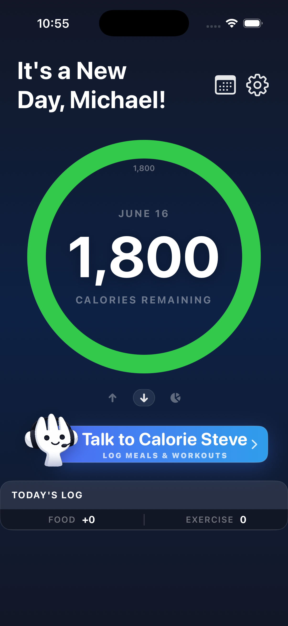 Daily calorie ring view